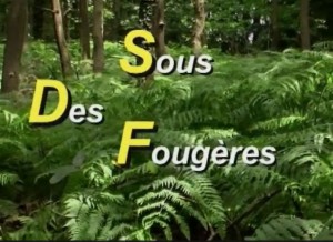 Sous Des Fougères